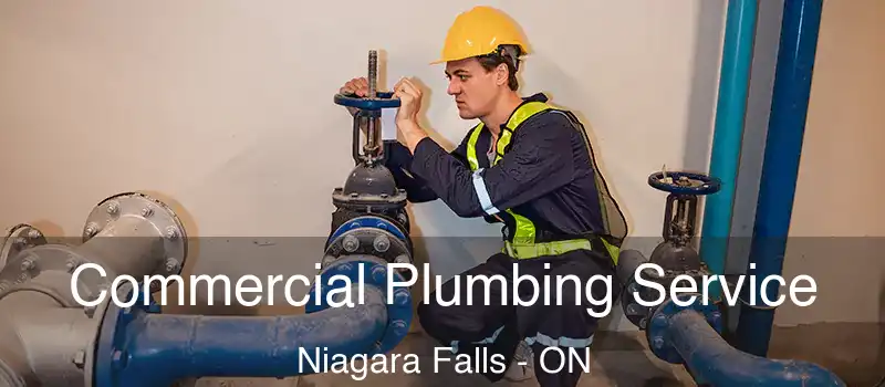  Commercial Plumbing Service Niagara Falls - ON
