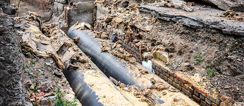 Commercial Sewer Tree Roots Damage Solutions in Niagara Falls, ON
