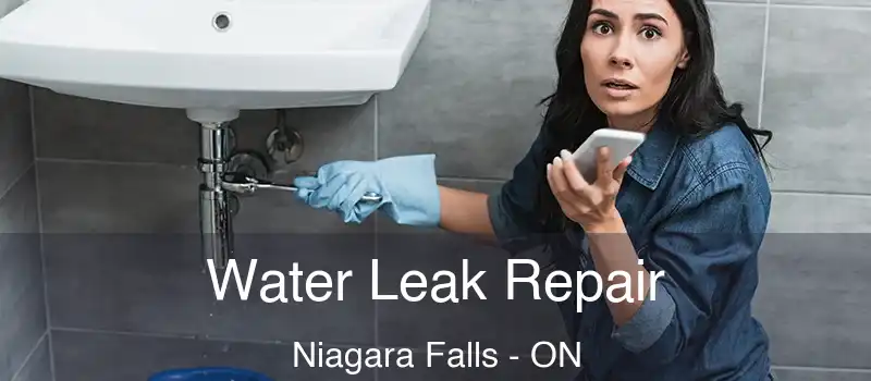  Water Leak Repair Niagara Falls - ON